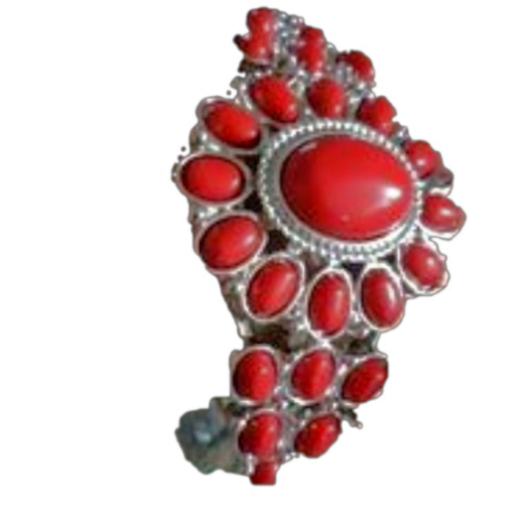 π₯HOST PICK π₯9/02 Red Howlite Silvertone Jewelry - Picture 2 of 5